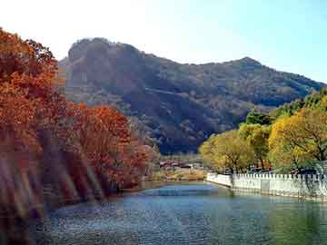 管家婆黑白马报图库，新建seo程序